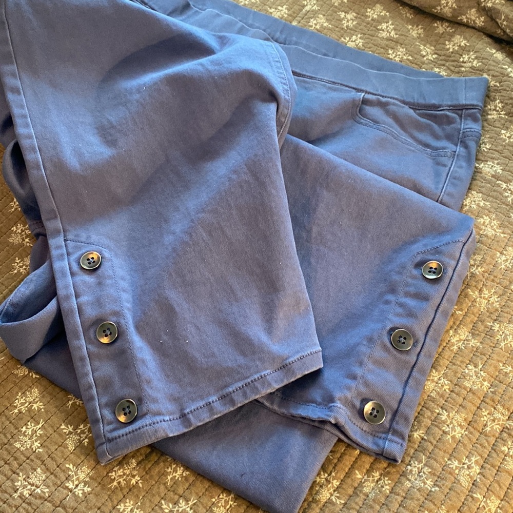 Isaac Mizrahi pant